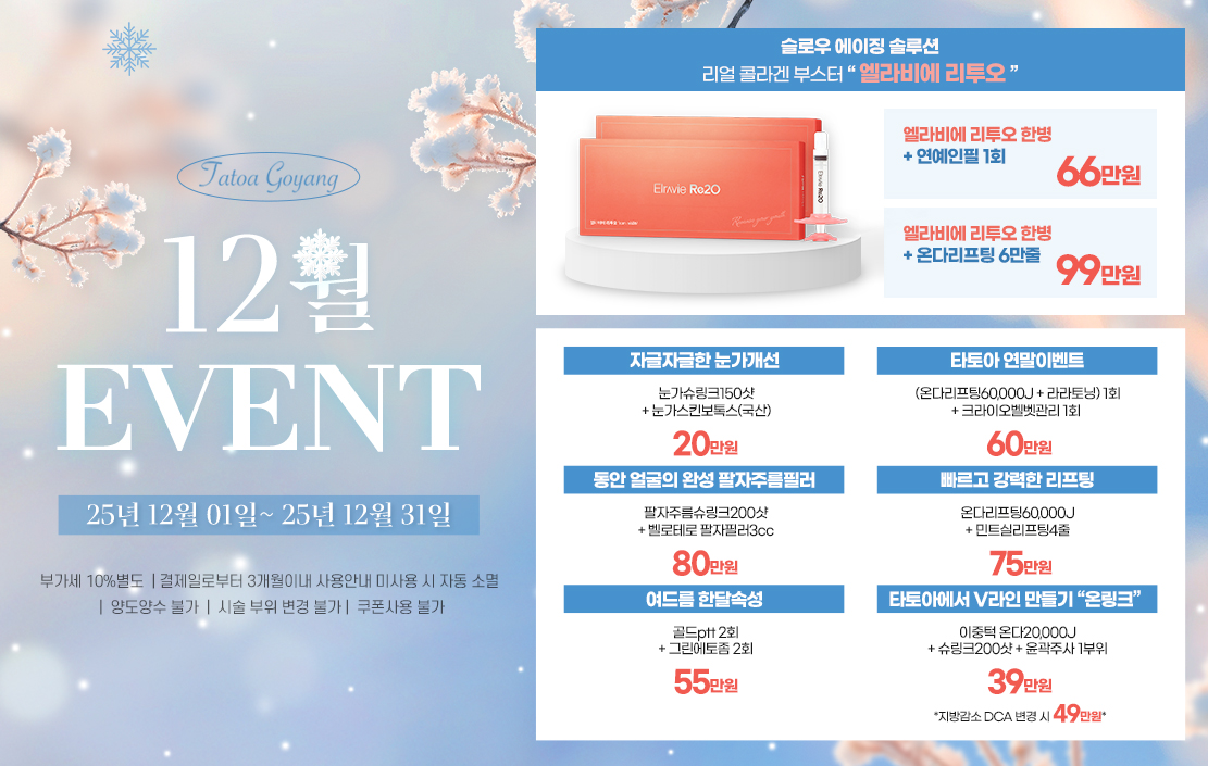 타토아 12월 이벤트