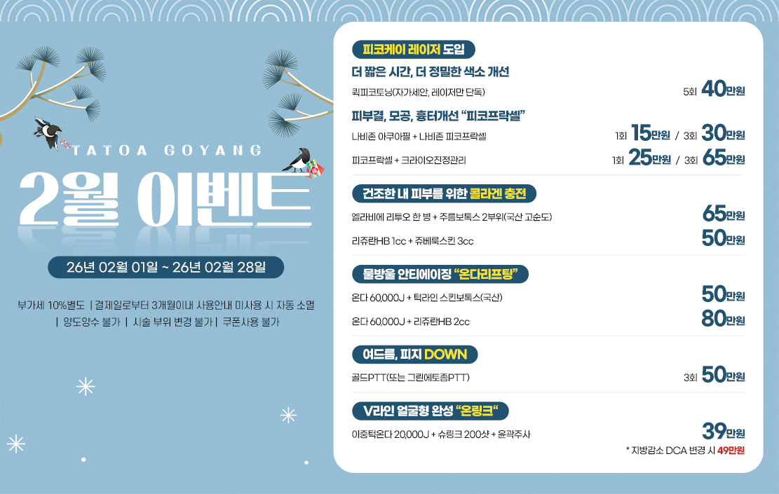 타토아 2월 이벤트