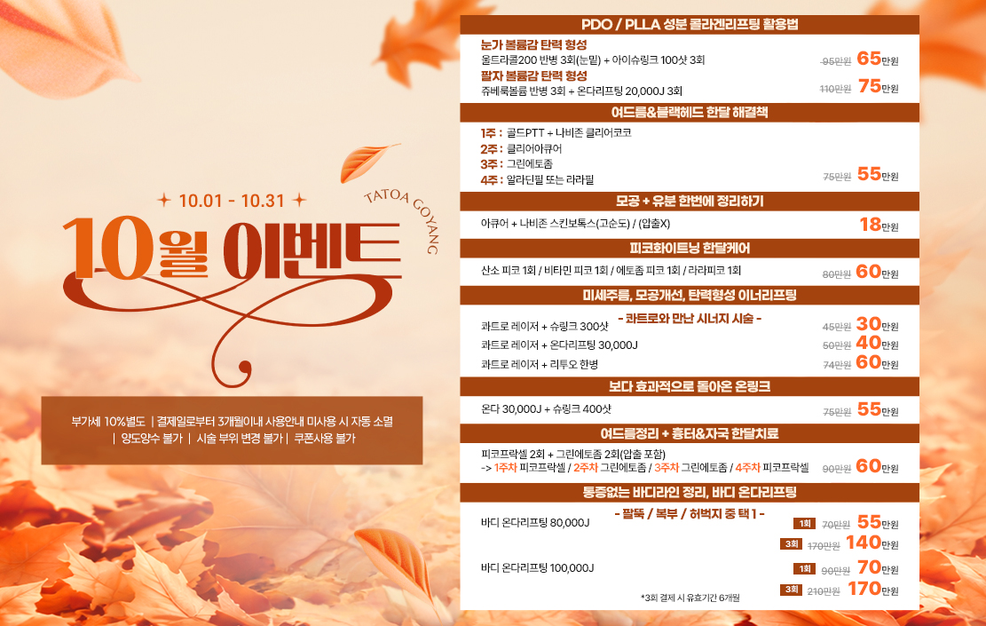 타토아 9월 이벤트