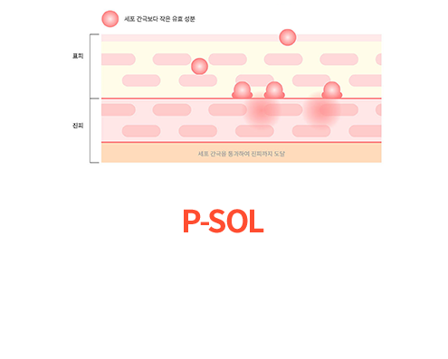 P-Sol